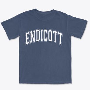 Endicott New York Varsity Premium Heavyweight T-shirt