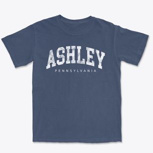 Ashley Pennsylvania Urban Vibe Premium Heavyweight T-shirt