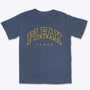 Pleak Texas Inline Premium Heavyweight T-shirt