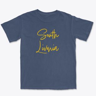 South Livonia New York Freestyle Premium Heavyweight T-shirt