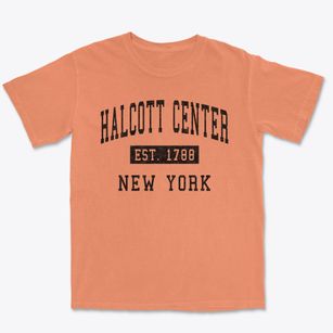 Halcott Center New York Classic Established Premium Heavyweight T-shirt