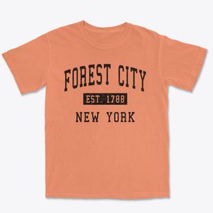 Forest City New York Classic Established Premium Heavyweight T-shirt