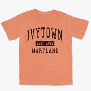 Ivytown Maryland Classic Established Premium Heavyweight T-shirt