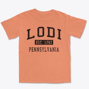 Lodi Pennsylvania Classic Established Premium Heavyweight T-shirt