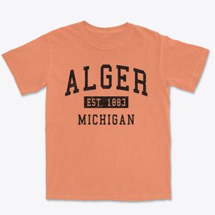 Alger Michigan Classic Established Premium Heavyweight T-shirt