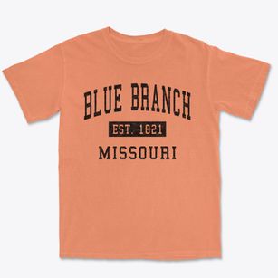 Blue Branch Missouri Classic Established Premium Heavyweight T-shirt