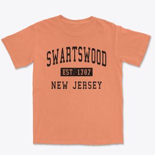 Swartswood New Jersey Classic Established Premium Heavyweight T-shirt