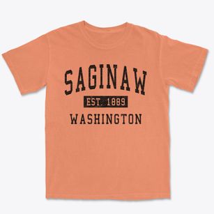 Saginaw Washington Classic Established Premium Heavyweight T-shirt