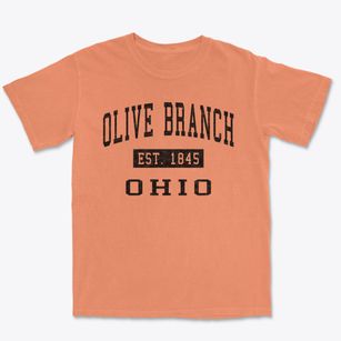 Olive Branch Ohio Classic Established Premium Heavyweight T-shirt