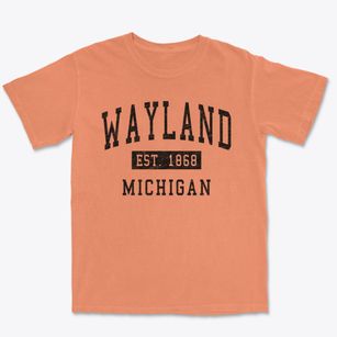 Wayland Michigan Classic Established Premium Heavyweight T-shirt