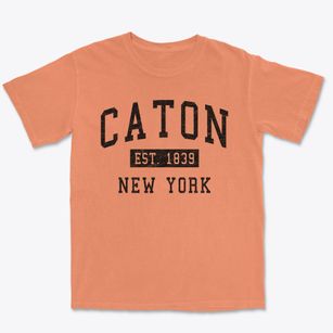 Caton New York Classic Established Premium Heavyweight T-shirt