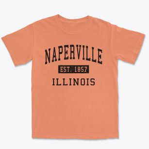 Naperville Illinois Classic Established Premium Heavyweight T-shirt