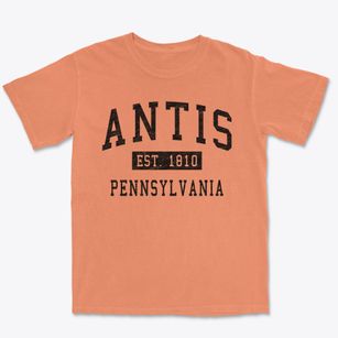 Antis Pennsylvania Classic Established Premium Heavyweight T-shirt