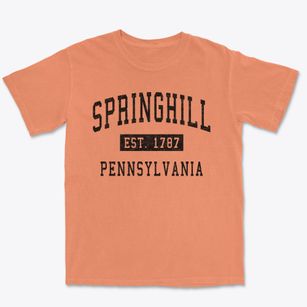 Springhill Pennsylvania Classic Established Premium Heavyweight T-shirt