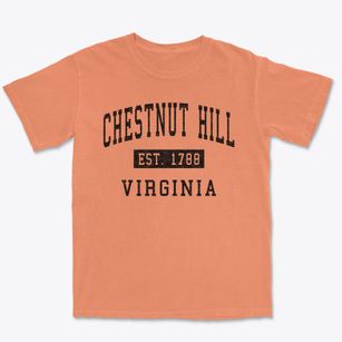 Chestnut Hill Virginia Classic Established Premium Heavyweight T-shirt