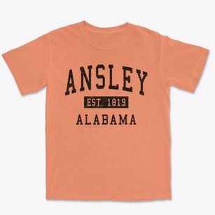 Ansley Alabama Classic Established Premium Heavyweight T-shirt