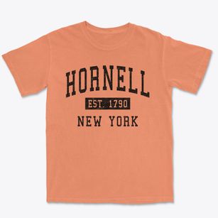 Hornell New York Classic Established Premium Heavyweight T-shirt