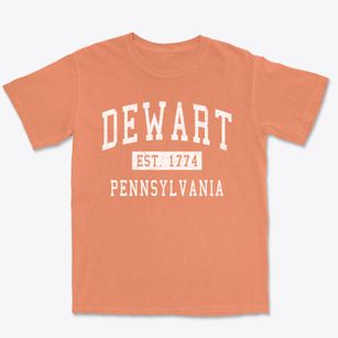 Dewart Pennsylvania Classic Established Premium Heavyweight T-shirt