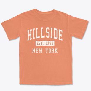 Hillside New York Classic Established Premium Heavyweight T-shirt