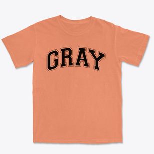 Gray Elementary School Varsity Arch Premium Heavyweight T-shirt