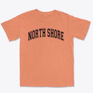 North Shore Middle School Varsity Arch Premium Heavyweight T-shirt