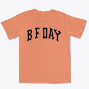 B F Day Elementary School Varsity Arch Premium Heavyweight T-shirt