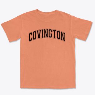Covington Elementary School Varsity Arch Premium Heavyweight T-shirt