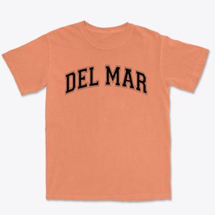 Del Mar Elementary School Varsity Arch Premium Heavyweight T-shirt