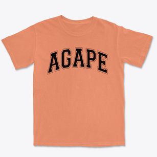 Agape Christian School Varsity Arch Premium Heavyweight T-shirt