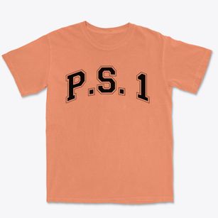 P.s. 1 Charter School Varsity Arch Premium Heavyweight T-shirt