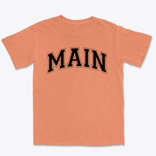 Main Elementary School Varsity Arch Premium Heavyweight T-shirt