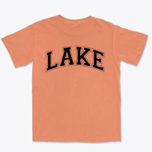 Lake Montessori School Varsity Arch Premium Heavyweight T-shirt