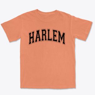 Harlem High School Varsity Arch Premium Heavyweight T-shirt