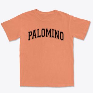 Palomino Elementary School Varsity Arch Premium Heavyweight T-shirt