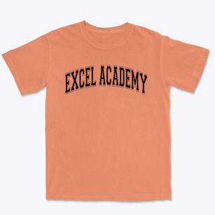 Excel Academy Of Englewood Varsity Arch Premium Heavyweight T-shirt