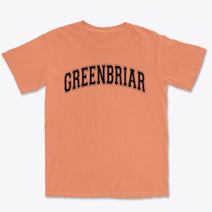 Greenbriar Elementary School Varsity Arch Premium Heavyweight T-shirt
