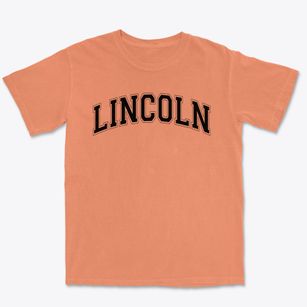 Lincoln Elementary School Varsity Arch Premium Heavyweight T-shirt