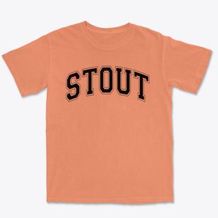 Stout Elementary School Varsity Arch Premium Heavyweight T-shirt