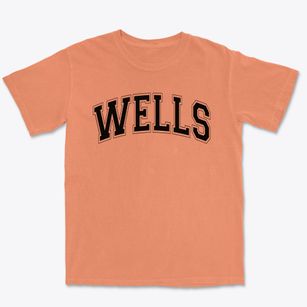 Wells Alternative Middle School Varsity Arch Premium Heavyweight T-shirt