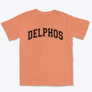 Delphos Attendance Center Varsity Arch Premium Heavyweight T-shirt