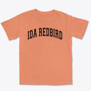 Ida Redbird Elementary School Varsity Arch Premium Heavyweight T-shirt