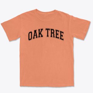 Oak Tree Elementary School Varsity Arch Premium Heavyweight T-shirt