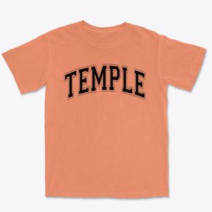 Temple Christian School Varsity Arch Premium Heavyweight T-shirt