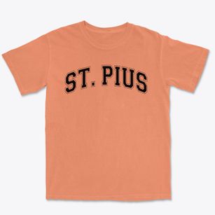St Pius Elementary School Varsity Arch Premium Heavyweight T-shirt