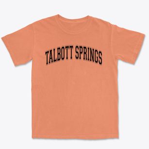 Talbott Springs Elementary School Varsity Arch Premium Heavyweight T-shirt