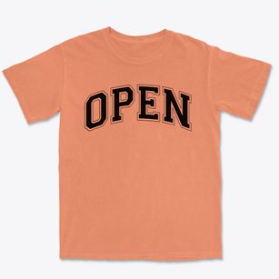 Open Bible Academy Varsity Arch Premium Heavyweight T-shirt