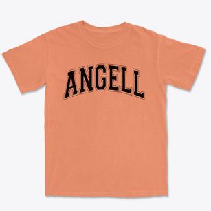 Angell Primary School Varsity Arch Premium Heavyweight T-shirt
