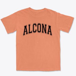 Alcona Elementary School Varsity Arch Premium Heavyweight T-shirt