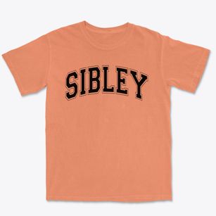 Sibley Elementary School Varsity Arch Premium Heavyweight T-shirt