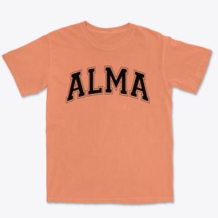 Alma Middle School Varsity Arch Premium Heavyweight T-shirt